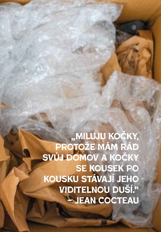 Kočky léčí