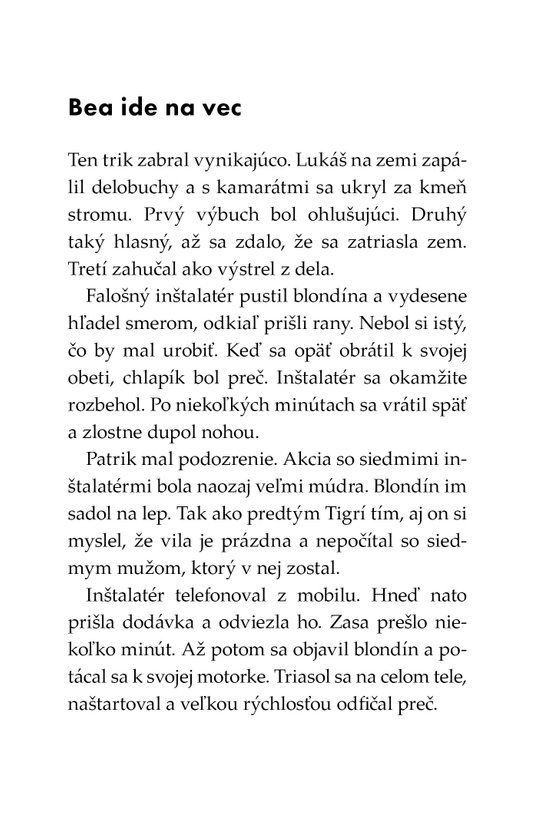 Tigrí tím - Tajomstvo Sivej vily