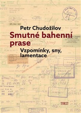 Smutné bahenní prase