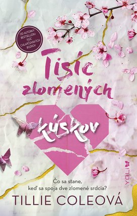 Tisíc zlomených kúskov