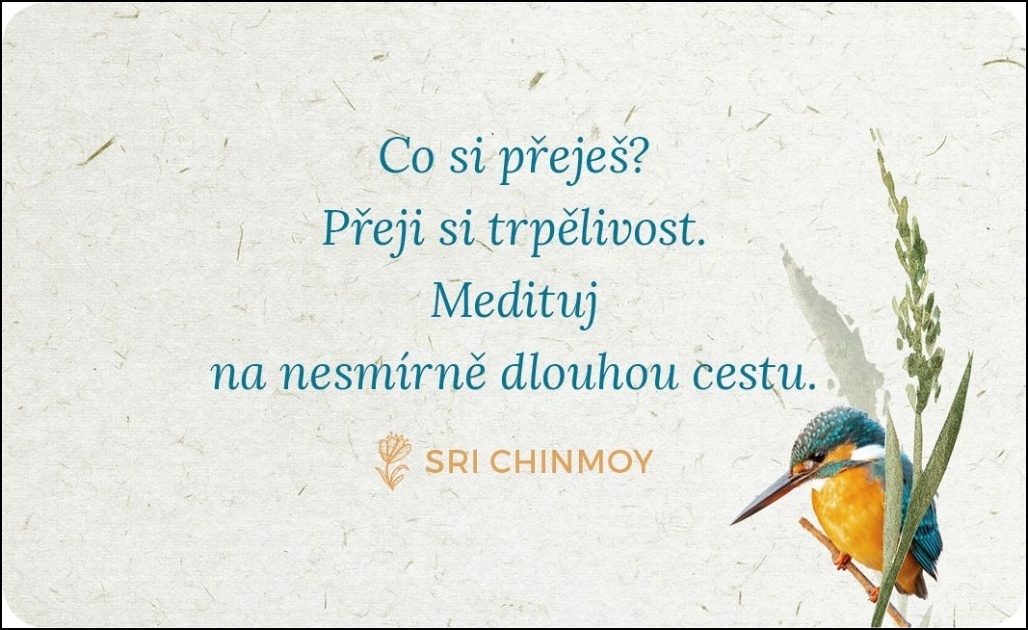 Trpělivost