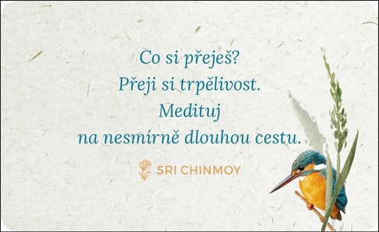 Trpělivost