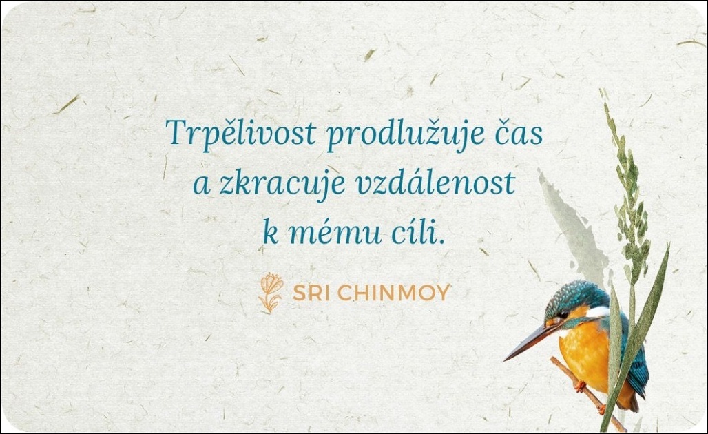 Trpělivost - s dřevěným stojánkem