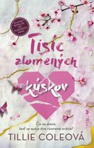 Tisíc zlomených kúskov
