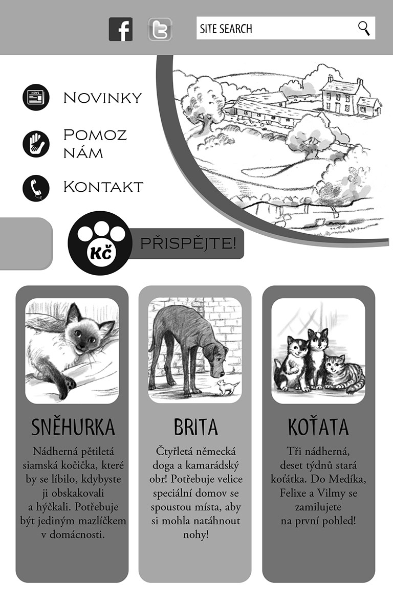 Zachráněná zvírátka: Osamělé koťátko