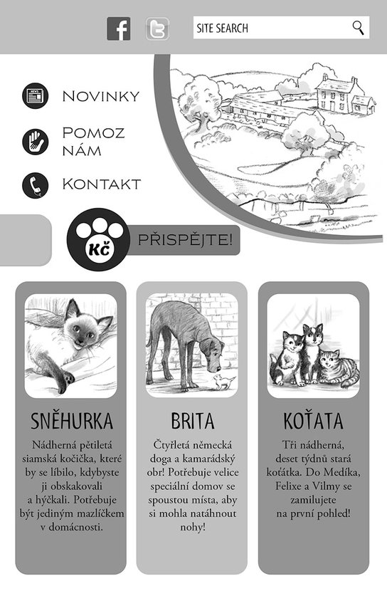Zachráněná zvírátka: Osamělé koťátko