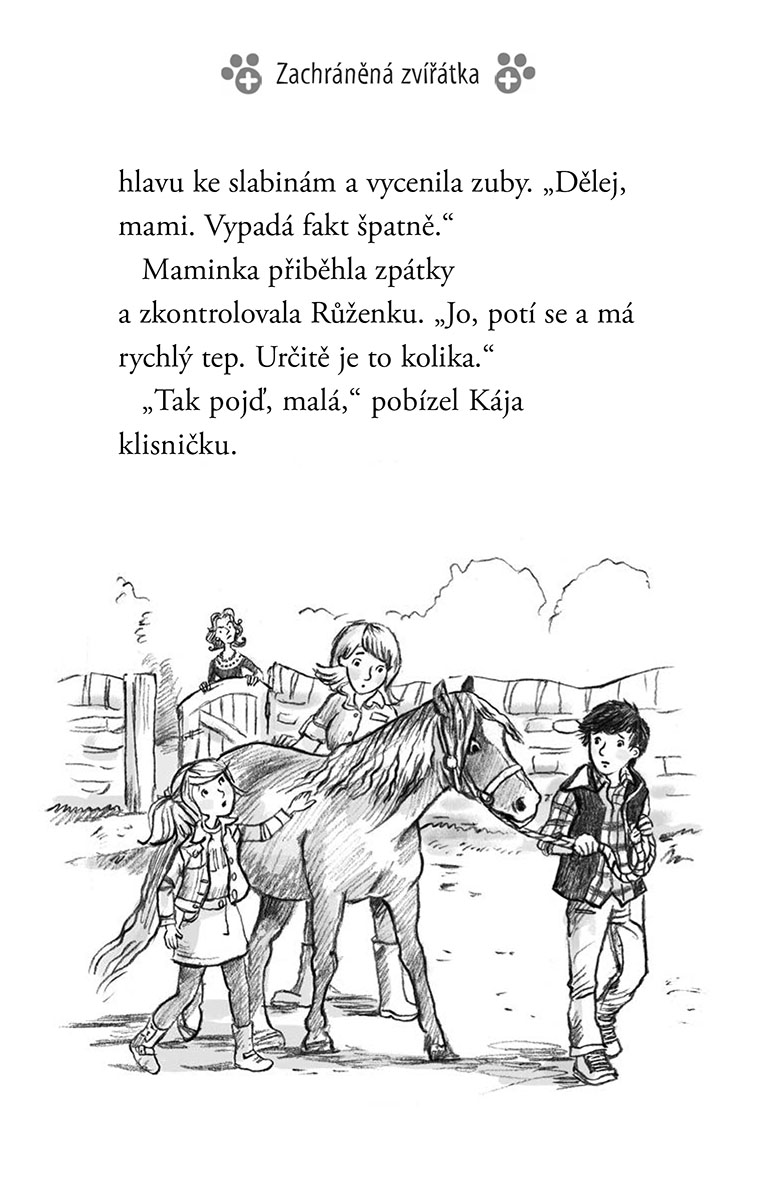 Zachráněná zvírátka: Osamělé koťátko