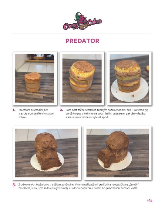 Crazy cakes: svět výjimečných dortů