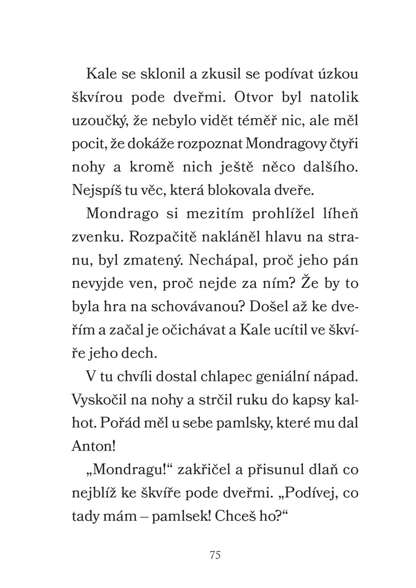Mondrago - Dračí mláďata: Draci země