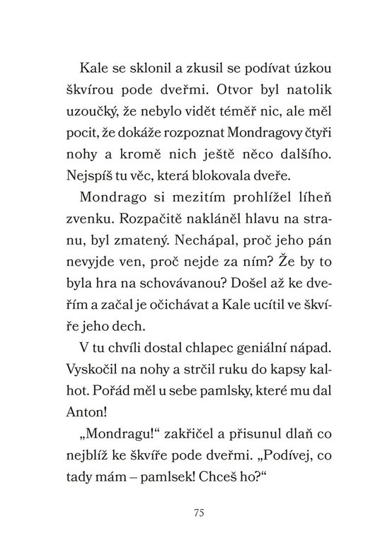 Mondrago - Dračí mláďata: Draci země
