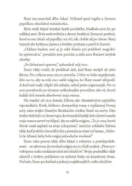 Magickí agenti 1: S vílami v Dubline 