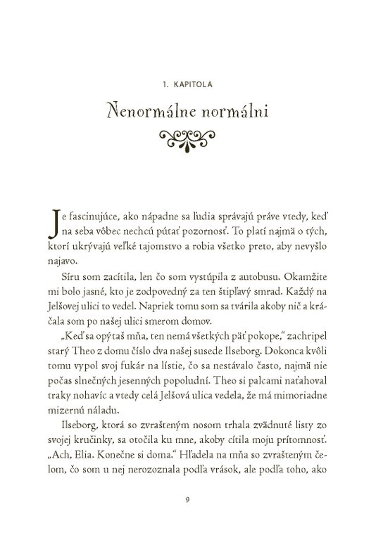 Magickí agenti 1: S vílami v Dubline 
