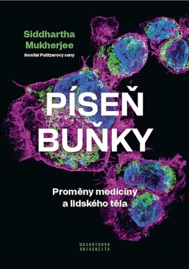 Píseň buňky