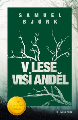 V lese visí anděl
