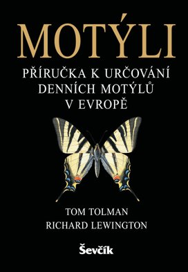Motýli