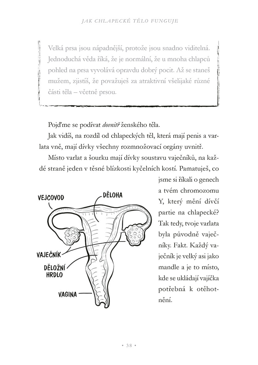 Teorie mužského třesku