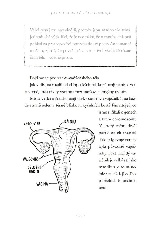 Teorie mužského třesku
