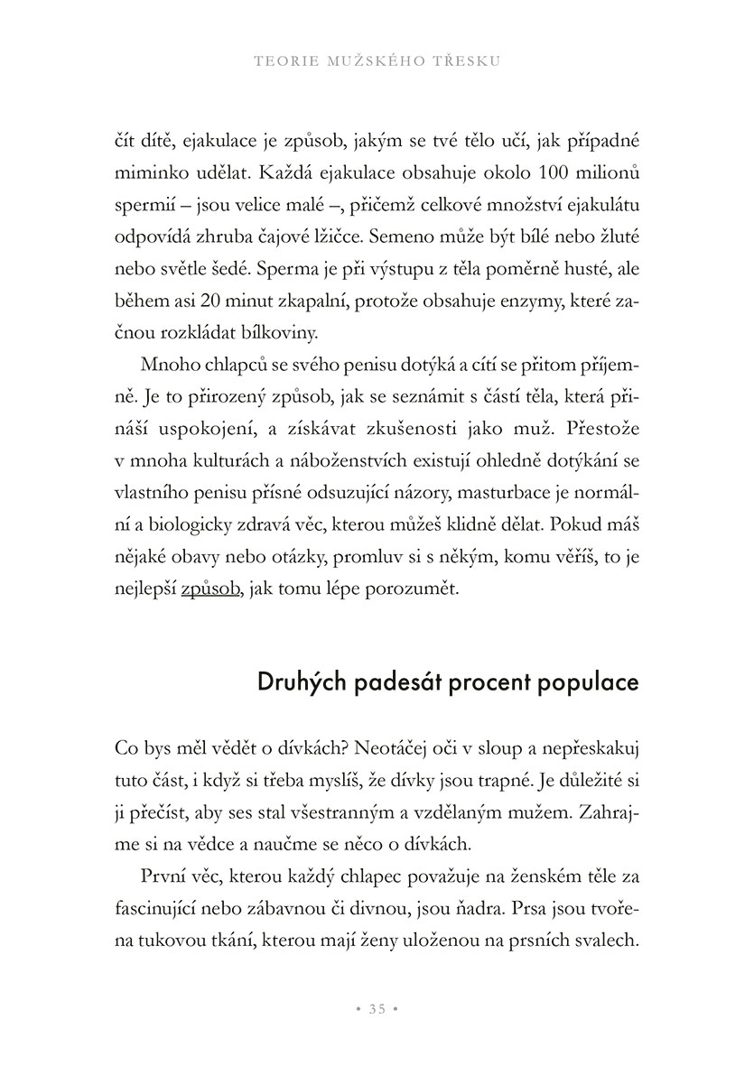 Teorie mužského třesku