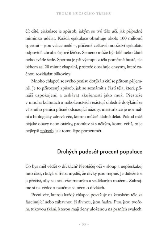 Teorie mužského třesku