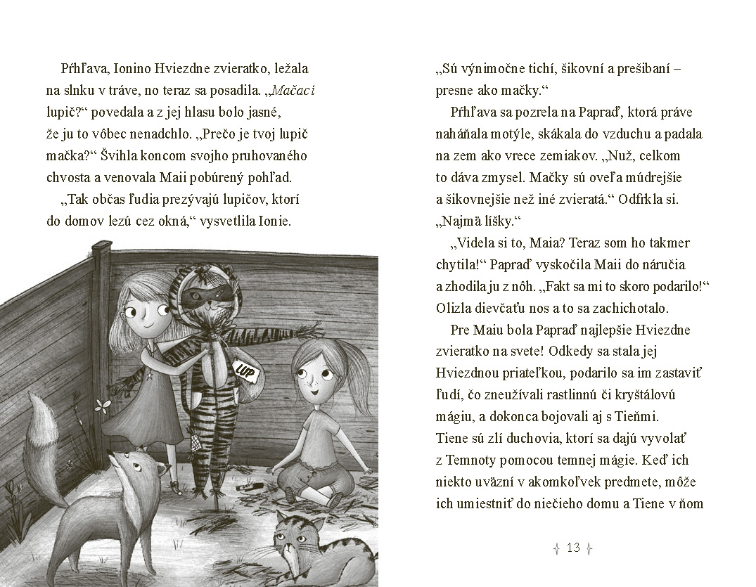 Hviezdni priatelia 11: Magický štít