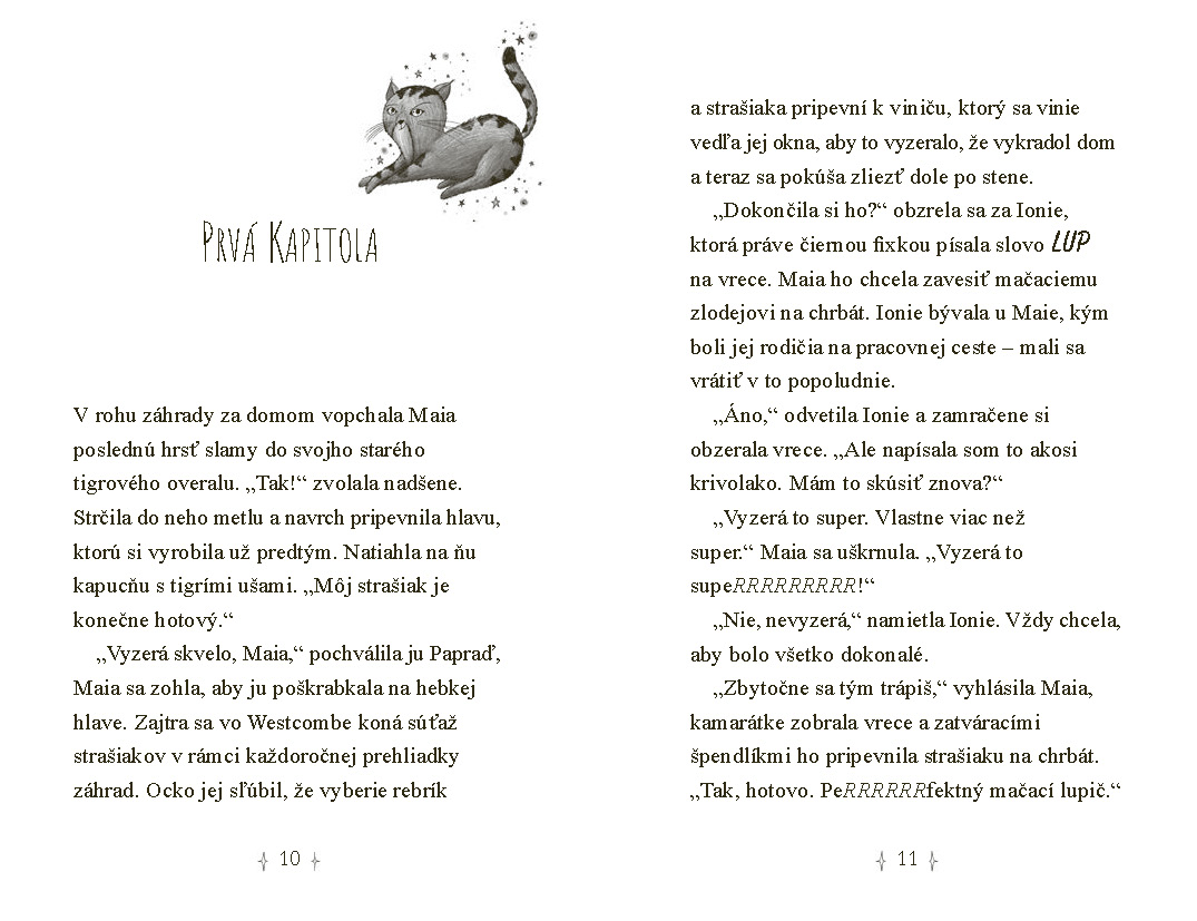 Hviezdni priatelia 11: Magický štít