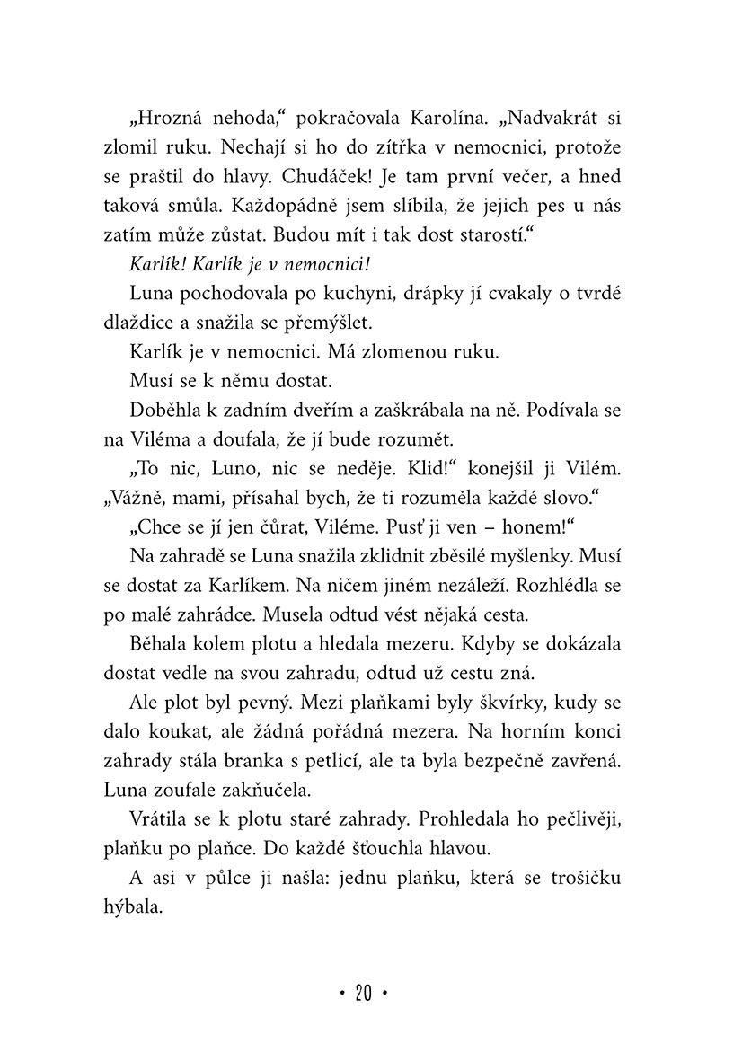 Velké psí dobrodružství