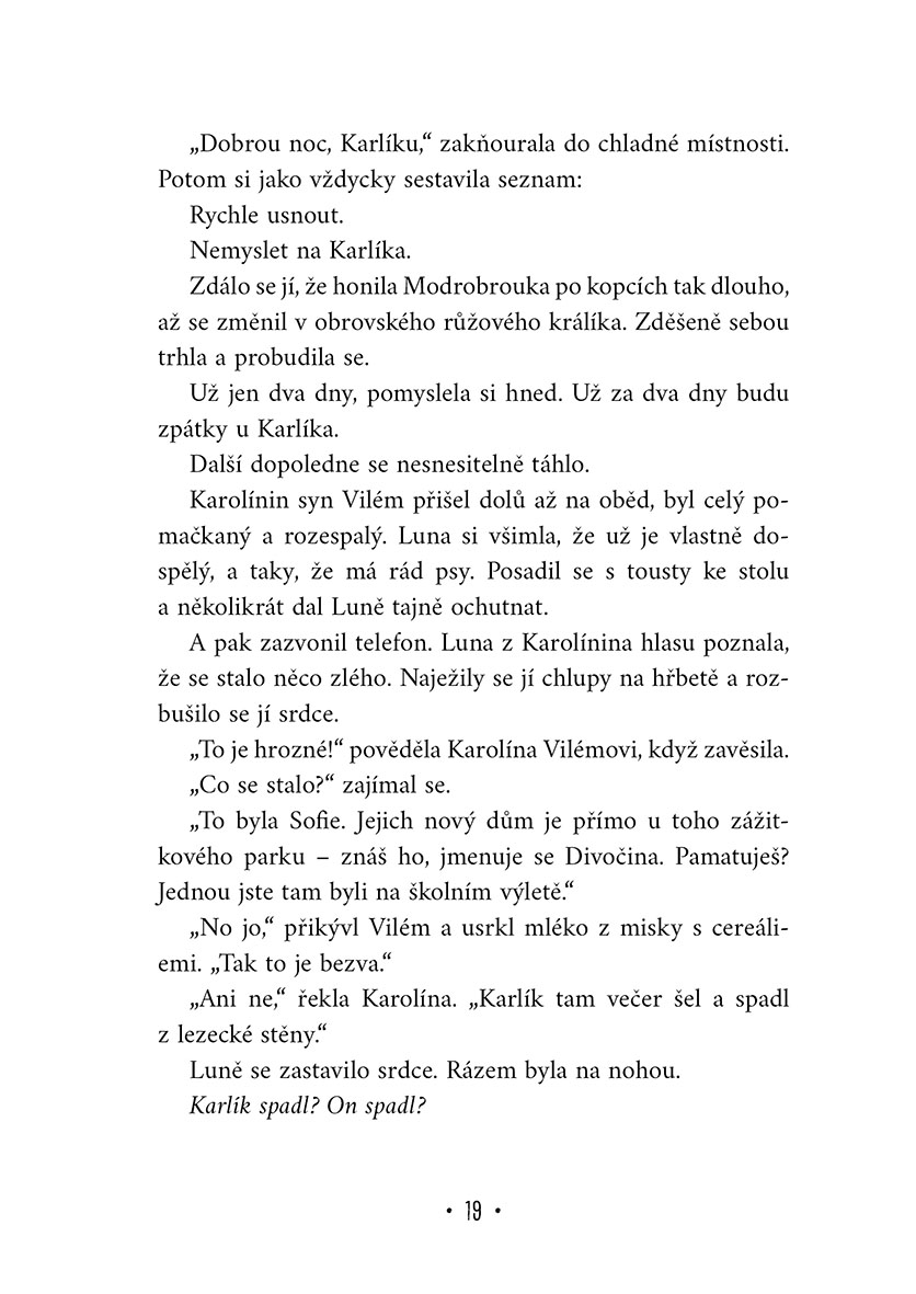 Velké psí dobrodružství