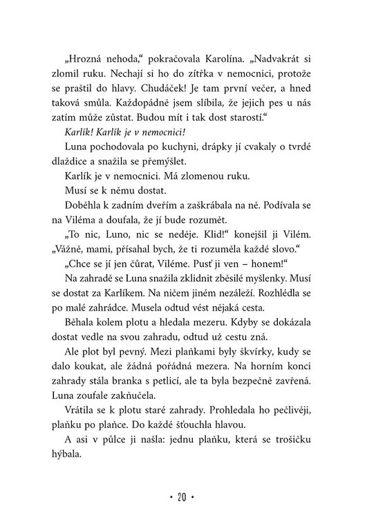 Velké psí dobrodružství