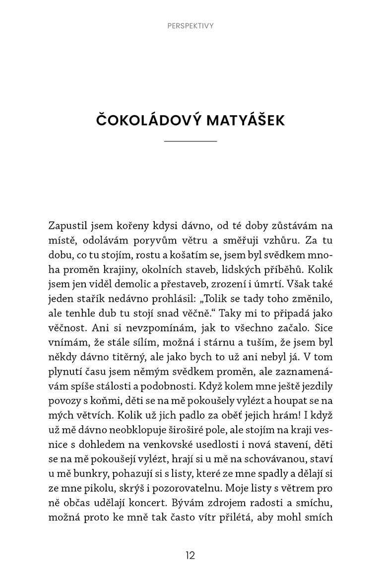 Perspektivy