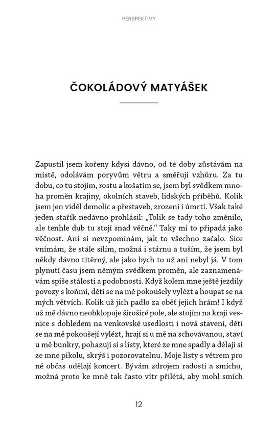 Perspektivy