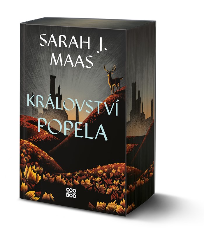 Království popela