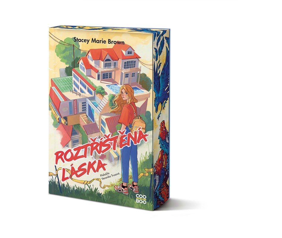 Roztříštěná láska