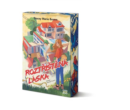 Roztříštěná láska