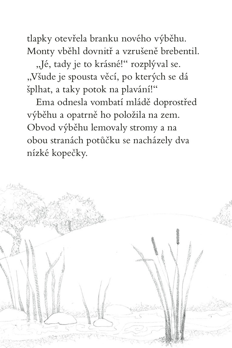 Ema a její kouzelná zoo - Starostlivá vombatka