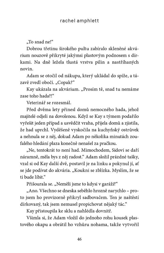 Spálit mosty