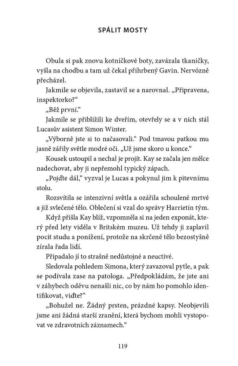Spálit mosty