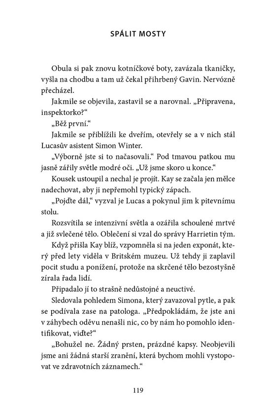 Spálit mosty
