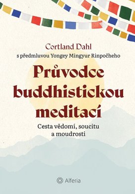 Průvodce buddhistickou meditací