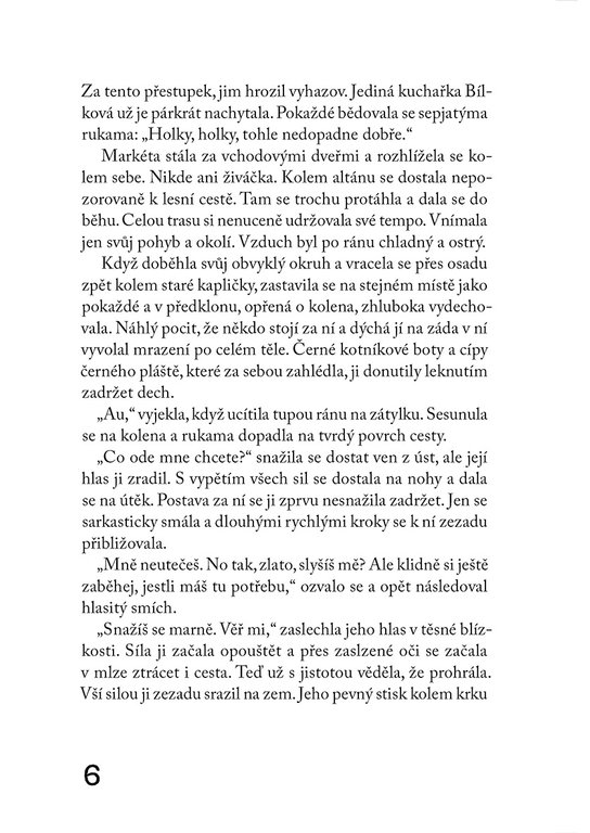 Mizející stín
