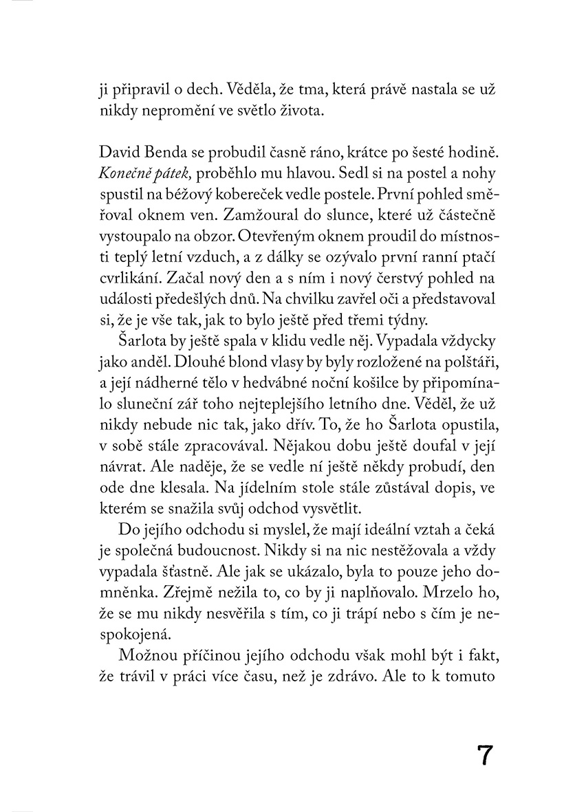 Mizející stín