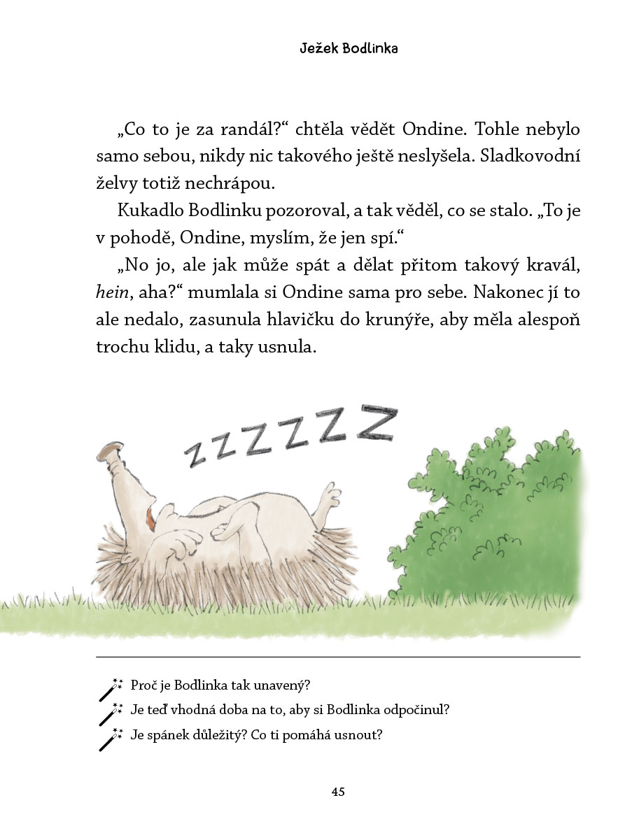 Ježek Bodlinka a nezbedné straky
