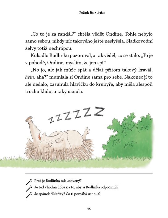 Ježek Bodlinka a nezbedné straky