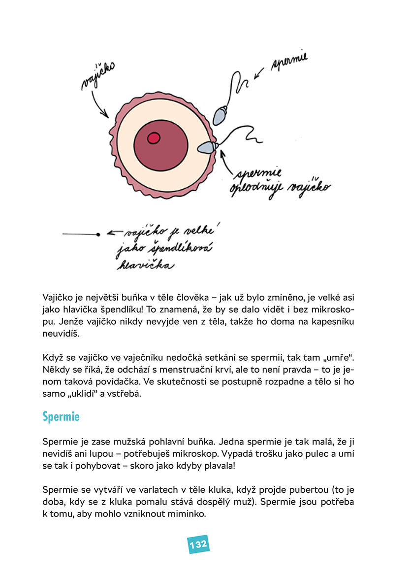 Sexpedia