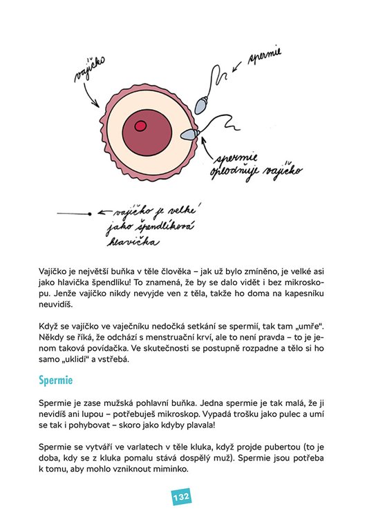 Sexpedia