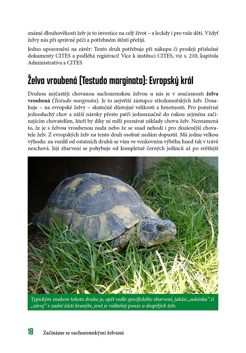 Začínáme se suchozemskými želvami