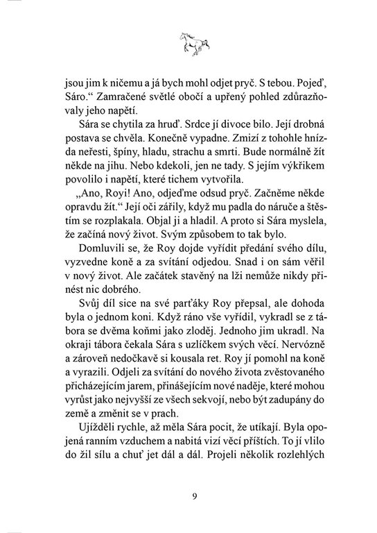 Do neznáma s cizincem