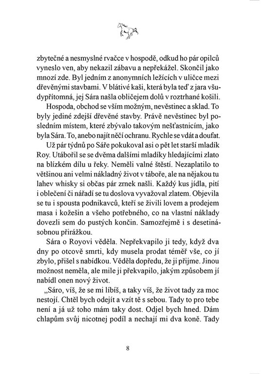 Do neznáma s cizincem