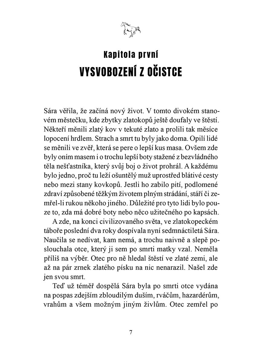 Do neznáma s cizincem