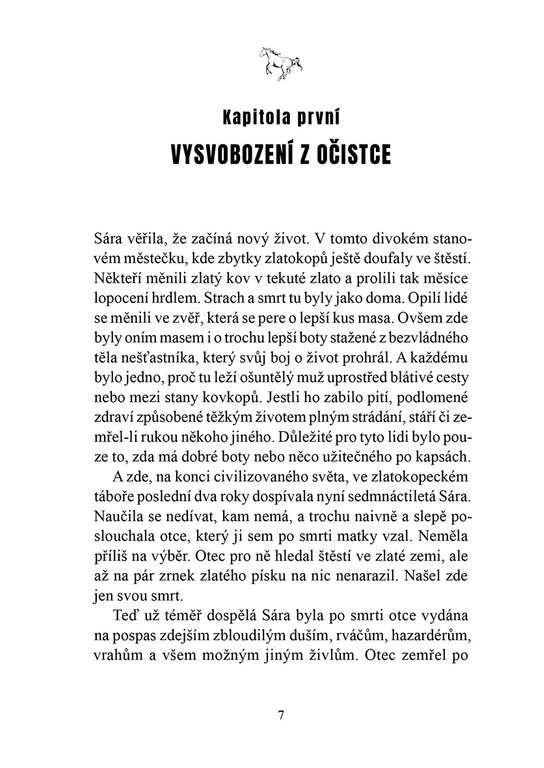 Do neznáma s cizincem