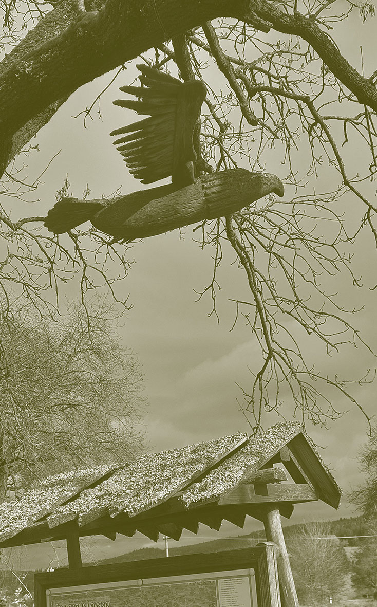 Za tichem - Šumava